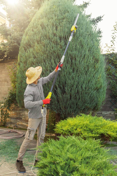 Best Commercial Tree Services  in Killen, AL